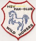 FC Wild Horses 1.jpg