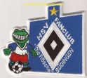 FC Die Froesche Buedingen 1.jpg