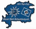 FC Blauer Stern Schaumburg-1.jpg