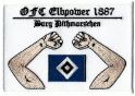 FC Elbpower 1887.jpg