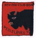 FC Bison Wesselburen-1.JPG