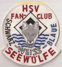 FC Schwarz-Weiss-Blaue Seewoelfe-2 KS.jpg