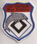 FC Blue Dolphins 1a.jpg