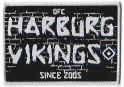FC Harburg Vikings-9.JPG