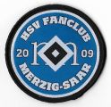 FC Merzig-Saar.jpg