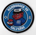 FC Salzsaeue.jpg