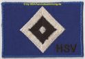 k hsv raute quer.jpg