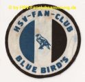 FC Blue Birds.jpg