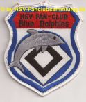 FC Blue Dolphins 1.jpg