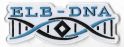 FC Elb-DNA.jpg