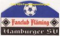 FC Flaeming 3a (gedruckt).jpg