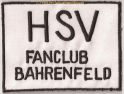 FC Bahrenfeld-2.jpg