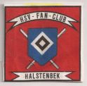 FC Halstenbek (gedruckt).jpg