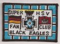 FC Black Eagels  Version 1 Hellblau.jpg