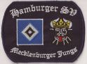 FC Mecklenburger Jungs-1.jpg