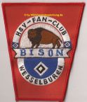 FC Bison Wesselburen-2.jpg