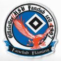 FC Flaeming 15.jpg