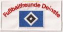 FC Fussballfreunde Deinste.jpg