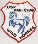 FC Wild Horses 3 (Nachstick) klein.jpg
