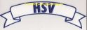 r banner HSV.jpg